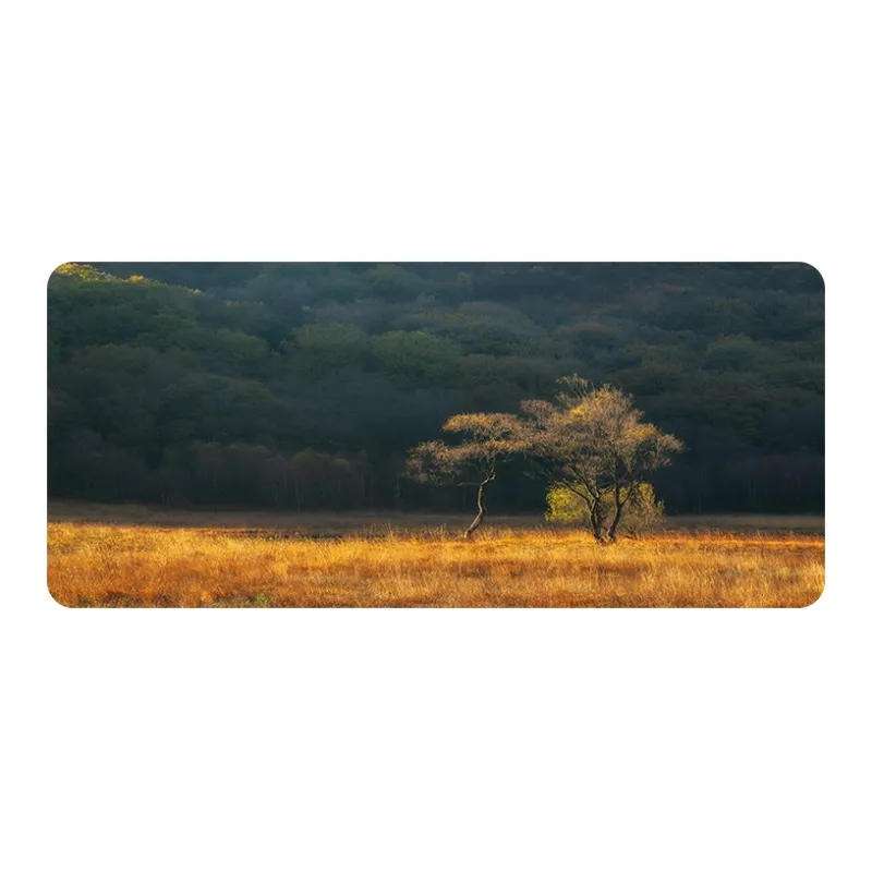 Directions Extra Large Esports Fine Grained Precision Lock Edge Natural Rubber Sole Mouse Pads-1