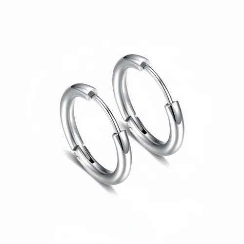 GELUTU Titanium Steel Earrings Unisex