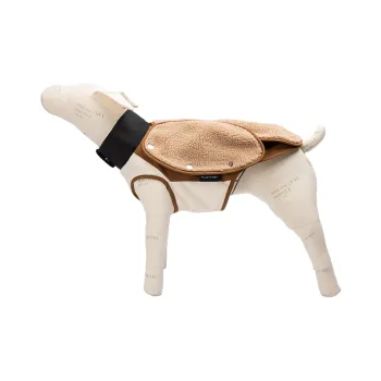 PLUG IN PET Clothing