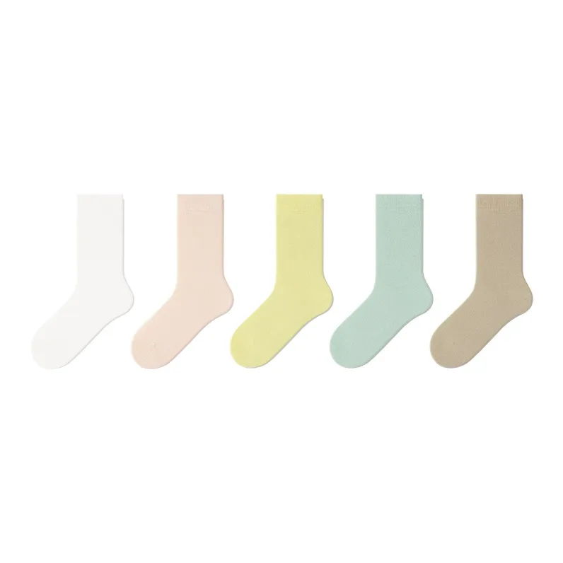 B&C.Room Mid Calf Socks Women's 5 Pack-5