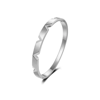 ACROWM Titanium Steel Bangles Unisex