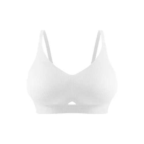Caramella Women's Bras