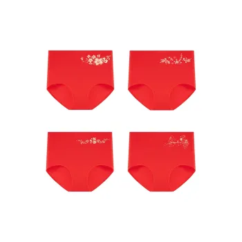 Ordifen Underpants Women's 4 Pack