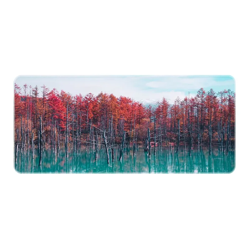 Directions Mouse Pads-2