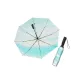 Breeze — Reverse Umbrella 8 Bone (Angel Ring)