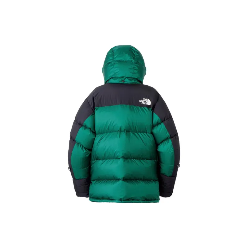 THE NORTH FACE Down Jacket Men's Green-1