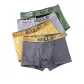 Ginger Yellow+Dark Gray+Fruit Green+Light Gray