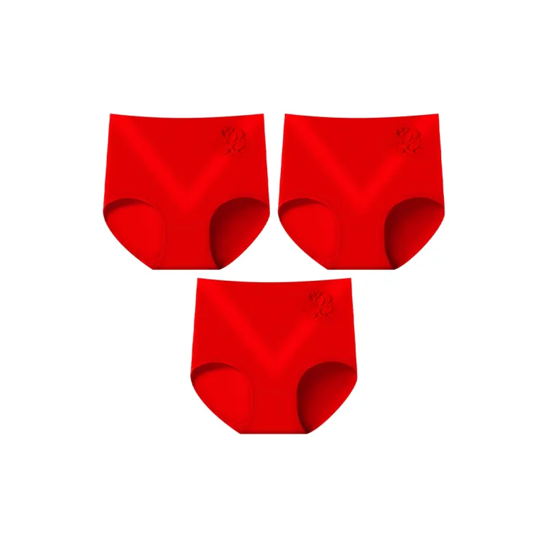 Lanza Underpants Women's Combo Set-24