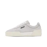 Light Smoke Gray