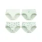 Avocado Set[4 Pack]