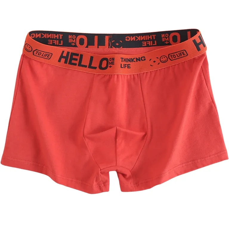 YUZHAOLIN Underpants Men's Combo Set-19