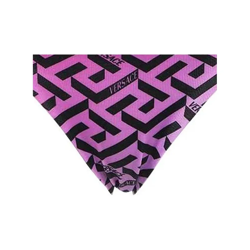 VERSACE Swim Bottoms 'Multicolor'-1