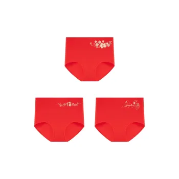 Ordifen Underpants Women's 3 Pack