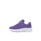 533 Purple