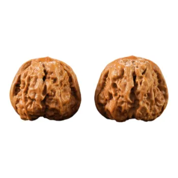 Treasure Club Text Plays Walnuts Collectible Unisex