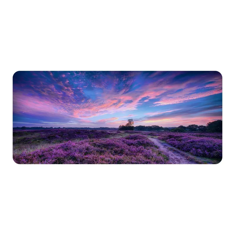 Directions Mouse Pads-3