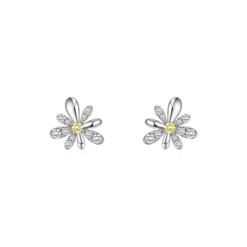 CHIEMOT S925 Silver Earrings Women's