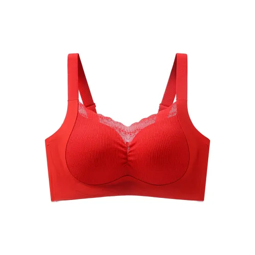 Lanza Women's Bras