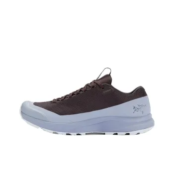 Arcteryx Aerios Fl 2 GTX Cushioning Anti Slip And Wear Resistant Low Top Outdoor Shoes Unisex Brown Gray
