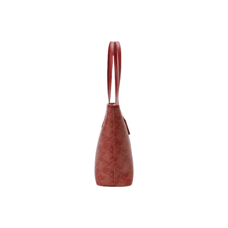 OTA PU Litchi Grain Pendant Shoulder Bag, Shopping Bag, Shoulder Bag Regular Women's Multicolor-3