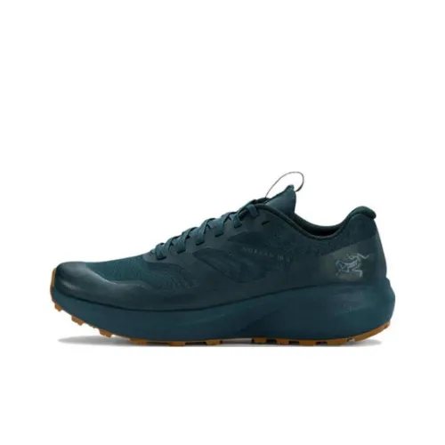 Arc'teryx Norvan LD 3 Labyrinth Green