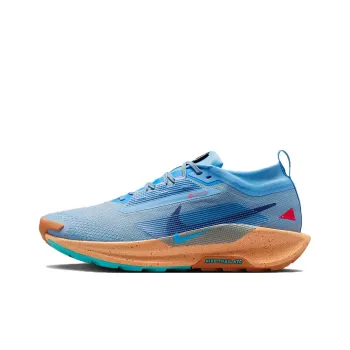 Nike Pegasus Trail 5 Slip Resistant Water Resistant Low Top Outdoor Shoes Men's Blue