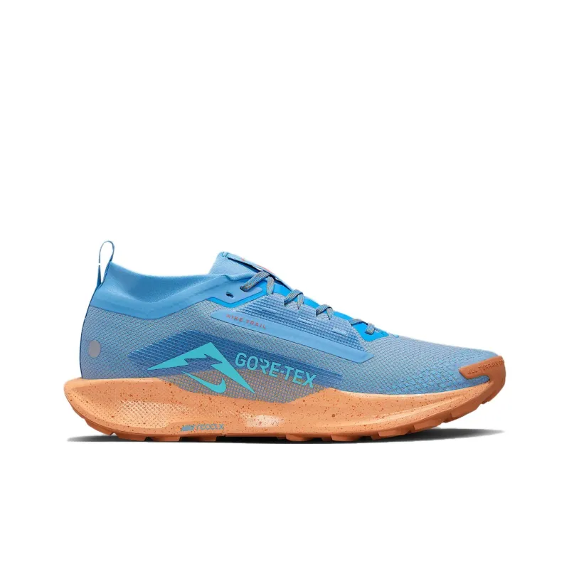 Nike Pegasus Trail 5 Gore Tex Blue Beyond Copper Moon Monarch Blue Void-1