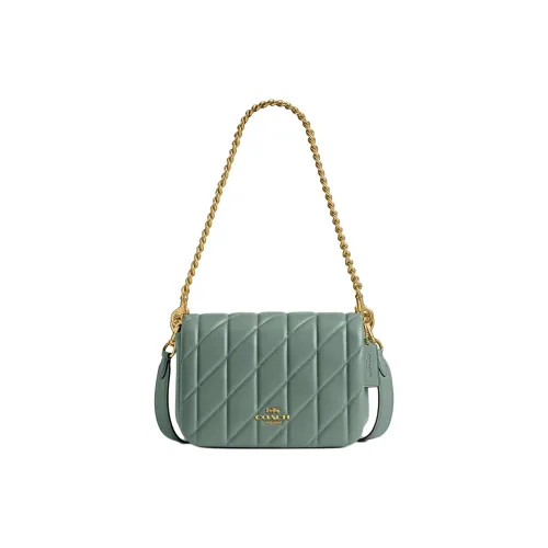 COACH Leather Portable Crossbody Bag Shoulder Bag Small Size Women's Green