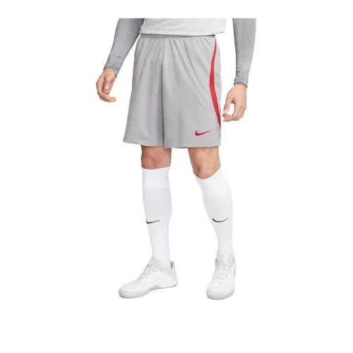 Nike Sports Shorts Men Gray