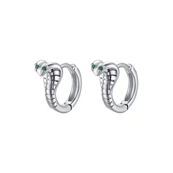 QIDUYINSHI S925 Silver Earrings Unisex