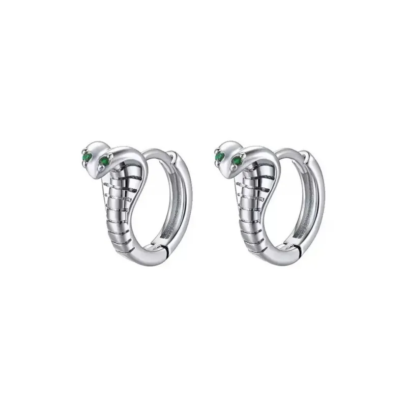 QIDUYINSHI S925 Silver Earrings Unisex-0