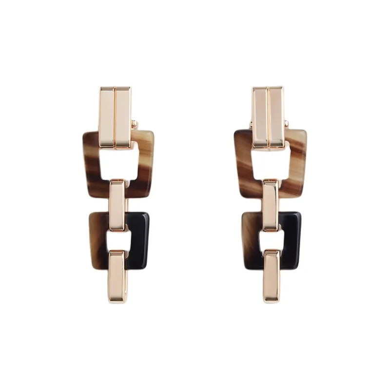 HERMES Ox Horn Earrings Women's Brown-0