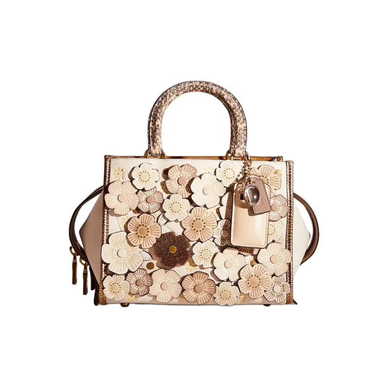 COACH Rogue Leather One Shoulder Handbags Medium Size Women's Chalk-0