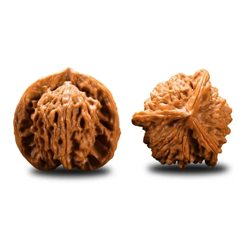 FANGYUANXIAOFU Walnut Fine Handicraft Collectible Unisex