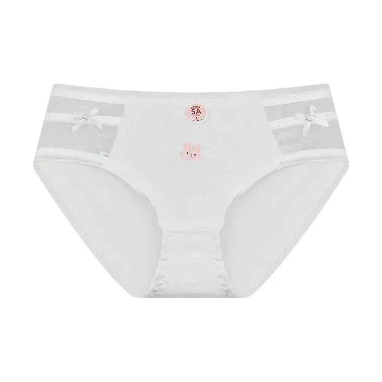 Cotton Gene Underpants Women's Combo Set-0