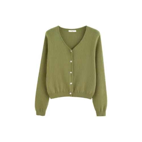 Tonlion Sweater Women's Avocado Green