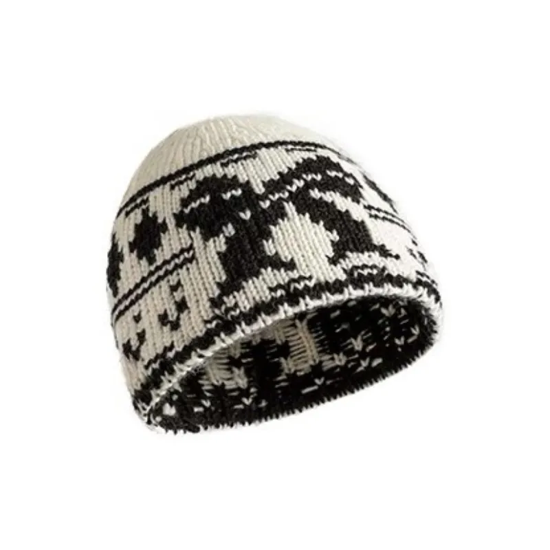 Alexia Sandra Acrylic Beanies Unisex-1