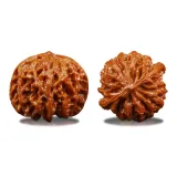 [Zen Heart]High-Throwing Apple Orchard Lion Head