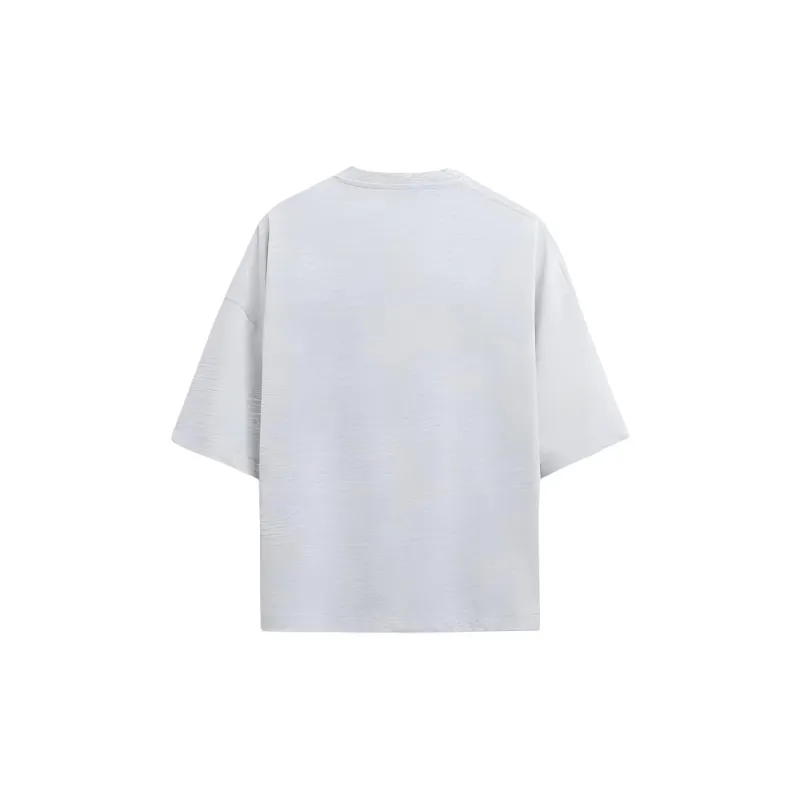 ZARA T Shirt Men's Zebra Print Gray-1