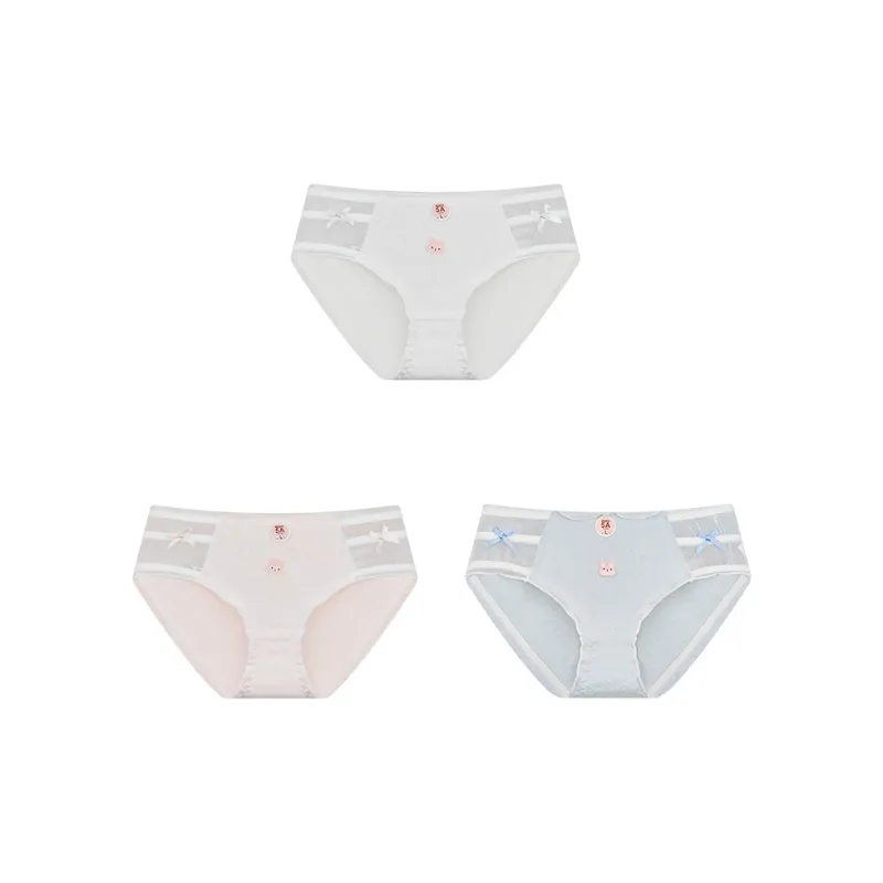 Cotton Gene Underpants Women's Combo Set-12