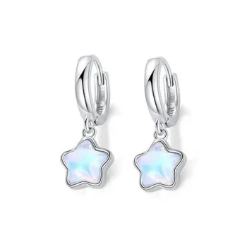 Schloney S925 Silver Earrings Women's
