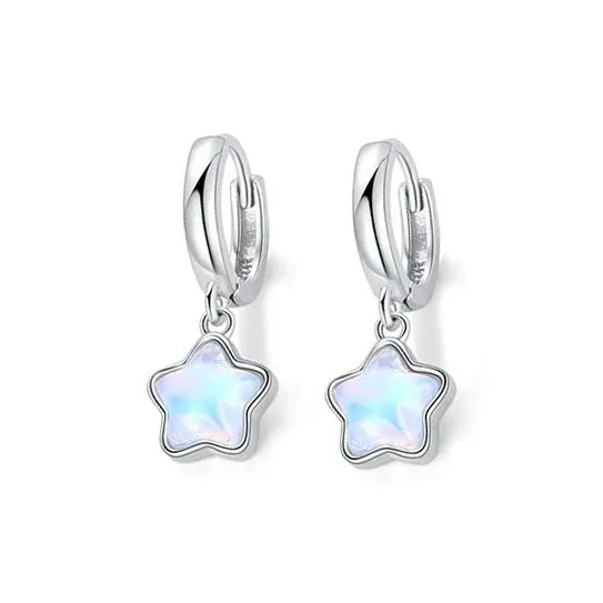 Schloney S925 Silver Earrings Women's-0
