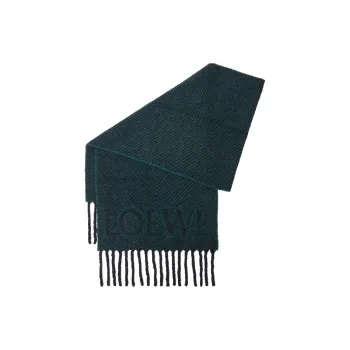 LOEWE Alpaca Knit Scarves Women's Green/Black