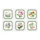 Exotic Floral Garden Collection Placemat 6-Piece Set