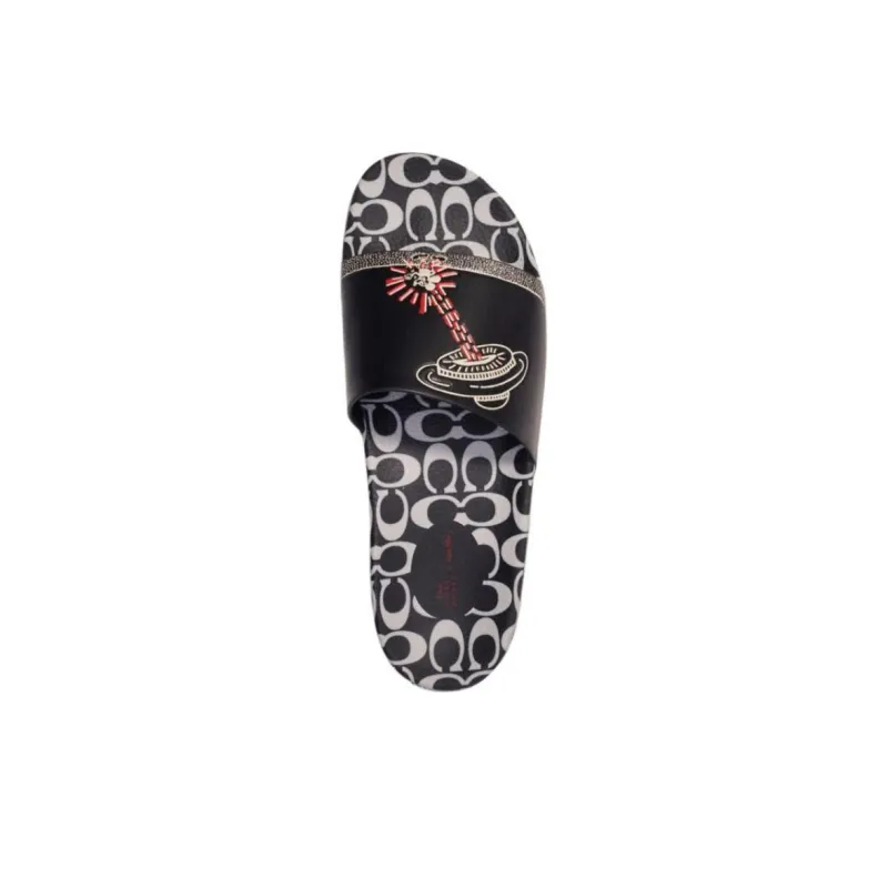 Disney Mickey Mouse X ·/Keith Haring x COACH Slide Slippers Men's Black-2