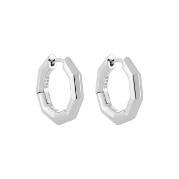 KiNGZiT S925 Silver Earrings Women's