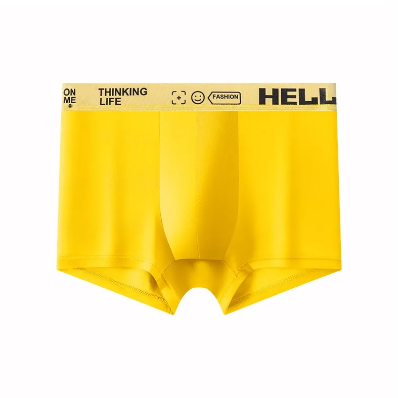 Cotton Gene Underpants Men's 6 Pack-12