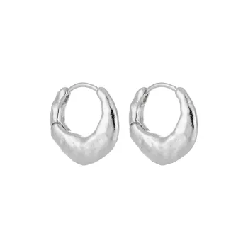 KiNGZiT S925 Silver Earrings Women's