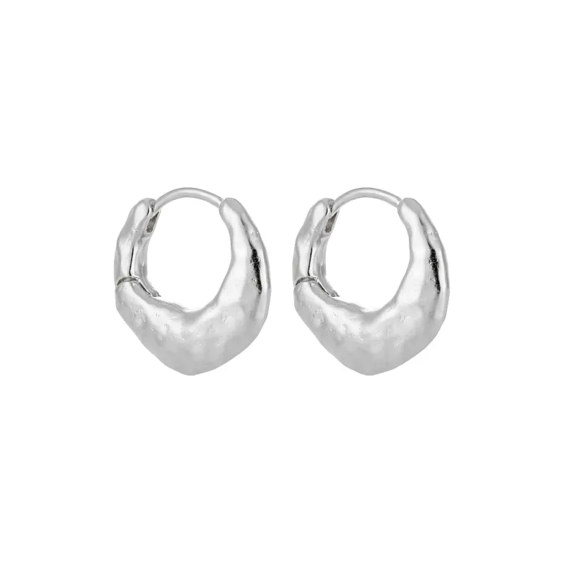 KiNGZiT S925 Silver Earrings Women's-0