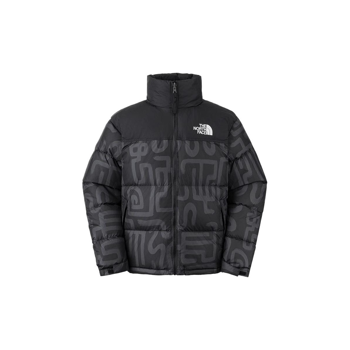 THE NORTH FACE City Outdoor Collection Down Jackets Men THE NORTH FACE City Outdoor Collection Down Jackets Men
